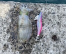 ルアー釣り教えます 今から始める初心者にも実績を踏まえてわかりやすく解説します！ イメージ2