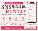 30日間SNS集客導線を一緒に育てます 発信を育てて商品購入につなぐ30日間個別コンサルを行います イメージ1
