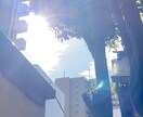 引き寄せ・現実創造の力を授けます ホルス神とレイキのサポートで、障害を跳ね除けて目標の達成へ イメージ2