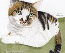 リピーター様用・90分で色鉛筆画の描き方を教えます 現役アーティストが教える色鉛筆画レッスンです。 イメージ1