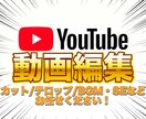 YouTubeに投稿する動画の編集をいたします 丁寧な対応で理想の動画制作イメージに合わせて柔軟に編集 イメージ1