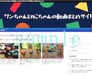 無駄な費用不要！手軽に動画まとめサイト作成できます 初めてでもサイト作成できる高品質テーマが格安で手に入ります イメージ6