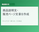 商品の説明文とキャッチコピーを作成します 商品の魅力が伝わる説明文を、キャッチコピー3案つきで イメージ1
