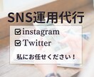 多くの方から『共感される』SNS運用いたします Instagram、Twitterを通じてサービスお届け イメージ1