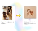 世界で一つのオリジナルキャンバスボード作成します 犬、猫を水彩画タッチでお作りします！ イメージ2