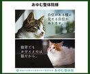 しっくり！なるほど！なキャッチコピー提案します ポスター掲出、雑誌掲載などの実績を持つコピーライターが提案 イメージ9