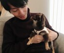 愚痴や悩み相談、何気ない会話を聴きます 少しでもあなたに寄り添えることができればと思います。 イメージ1