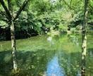 エネルギー調整、心身を整え波動をアップさせます ★グラウンディング・オーラやチャクラのバランス調整 イメージ1