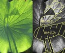 写真を表情豊かなモノクロ写真に仕上げます 【フィルム時代のように】焼き込みや覆い焼きで表情豊かな作品へ イメージ3