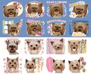 申請いらず*ペットや動物のLINEスタンプ描きます ちびキャラ化、普段使いのできるLINEスタンプに♪ イメージ1