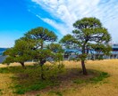 写真の色編集、光編集承ります 写真がなんか物足りないと感じた時綺麗な色合いに編集します イメージ9