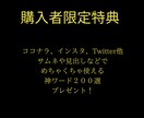 TwitterXから学ぶ、副業で稼ぐ方教えます 【購入後サポート】＋ライティング戦略・戦術・コツを完全解説 イメージ7