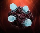 免疫力を高める生活習慣を教えます 科学的根拠に基づく実践しやすい免疫力アップ法 イメージ5