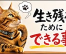 負債1.6億から復活した経営者が裏技含めて教ます 実体験だから話せる。弁護士も教えてくれない準備と判断を提供 イメージ9