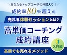 成約率アップ！お願いされる体験セッション術教えます なぜ、あなたのセッションは成約しないのか？売れる仕組み全公開 イメージ1