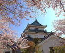 激安！旅行計画が面倒な方へ！充実プラン作成します 面倒な旅行計画をおまかせ！お得で楽しく充実したプランを提案！ イメージ4