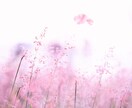 30年の傾聴で安心。モヤモヤをふわっと軽くします 話しても話せなくても大丈夫。あなたに合った方法で心を整えます イメージ3