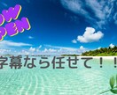 安価で字幕挿入を誤字なく承ります 10分以上に及ぶ動画でも誤字なく字幕を挿入できます。 イメージ1