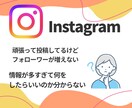 インスタフォロワー0→1000人にする方法教えます 最短45日で達成！閲覧数200万回突破の方法 イメージ2