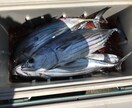 実績あり！釣り針の結び方、趣味漁師が直伝します 漁師の世界は企業秘密。だからこそ価値がある。 イメージ8