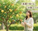 新NISA活用！初心者のためのプランを作成します 「特別価格」あなたに最適な投資の基礎と資産配分を提案！ イメージ3