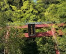 愚痴聞きます 恋愛、家庭の愚痴、悩みを聞きます。お気軽にお問合せ下さい♪ イメージ2