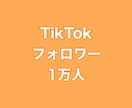 TikTokフォロワー+10000人増やします ⭐️高品質⭐️フォロワーが増えるよう拡散します！ イメージ1