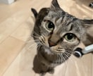 女性の方向けです。お話し聞きます 一人で抱えこんで本当の闇に落ちる前に イメージ8