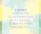 オーラの状態は？リーディングしてイラスト解説します アテナの知恵が見抜く魂の色彩！あなたの本質や使命とは？ イメージ8