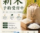 売れる農業チラシ作ります 見た目だけで終わらない農産物の価値が伝わるチラシを作ります イメージ4