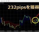 売買ポイントインジケーターをご提供します 1時間足以上のトレンドがわかるインジケーター。 イメージ7