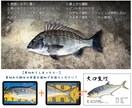 デジタル魚拓：リアル/墨/カラー/水彩から選べます 手刷り魚拓のような風合いで、一味違うデザインをお求めの方へ イメージ9