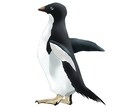 動物イラスト作成します リアルな精密画からデフォルメまで イメージ6