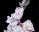 お気に入りの花の写真を水彩画にします あなたの好きな花を作品にして飾りませんか？ イメージ4