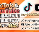 動画編集を致します tiktokでもYouTubeでも動画を作ります！ イメージ1
