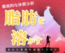 無意識に、気づけば痩せるダイエットを身につきます 痩せない理由を解明し、体質に合った減量をサポート イメージ2