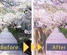 写真編集業務（風景・人・物・なんでも）致します あなたの思考に合わせた最も美しい写真をお渡し イメージ3