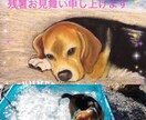 愛犬愛猫の絵をオリジナルで描かせて頂いております リアルとカラフルと色々お選び頂けます❗基本A4sizeです イメージ4