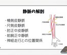 新人看護師・看護学生向けスターターセットあります 新人看護師向けのバイタル・報告・ルートキープのスライド資料 イメージ10