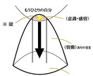 ２０分であなたのボイスカラーチェックします あなたのボイスカラーは何色で話しているか？その効果は？ イメージ4