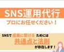 お客様に選ばれるためのSNS運用を行います 画像制作込み | 分析・レポート | 丸投げOK イメージ1