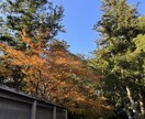 恋愛全般の御相談に乗らせていただきます Webメディアにて恋愛記事を1000本以上納品経験あり イメージ1