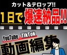 YouTubeなどの動画編集を承ります カット＆テロップは1日納品！！！ イメージ1