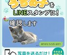 愛猫の写真で、毎日使えるLINEスタンプ作成します ｜申請するだけでOK！実用セリフ入り・透過PNG納品 イメージ1