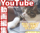 YouTube向けの動画を編集します ポップなYouTube動画を代わりに編集します！ イメージ1