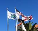 アメリカ在住翻者が自然、丁寧、高品質な翻訳をします 事前にメッセージをください、折り返し見積もり納期回答します。 イメージ2
