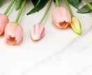モニター特別価格！☆鳥トランプでイエスノー占います ～6/15まで☆ご質問２つ可愛い鳥トランプでイエスノー見ます イメージ5