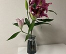 あなたのお話相手になります 寂しい時間をおしゃべりして一緒に楽しみましょう！ イメージ2
