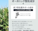 Amazon/楽天商品画像デザイン制作します 女性ウケが良い！シンプルデザインで商品をステキに見せます！ イメージ10