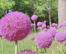 1分からでも大丈夫、あなたの話し相手になります 愚痴、相談、ただ聞いてほしい話などどんなお話でもOK♩ イメージ1